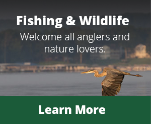 fishing-wildlife-activities-kentucky-lake